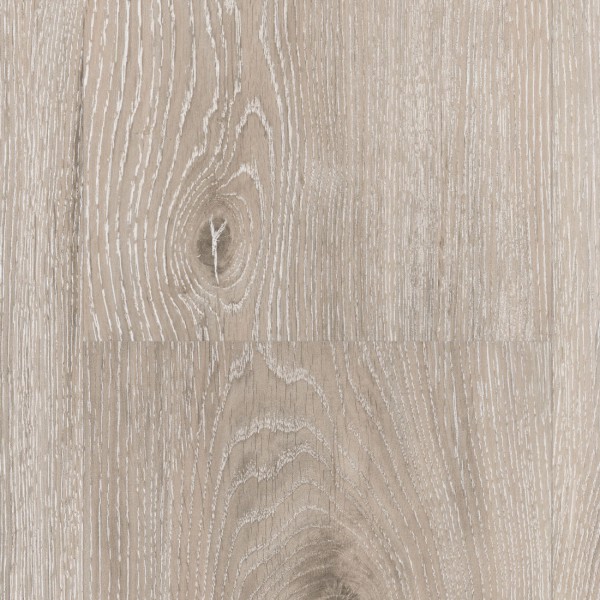 PARADOR Vinyl Trendtime 630 Eiche Royal wei? gek?lkt Vinyl PARADOR : Parador Eiche Hell Gek?lkt Parador Eiche Hell Gek?lkt : PARADOR Vinyl Trendtime 630 Eiche Royal wei? gek?lkt Vinyl PARADOR
